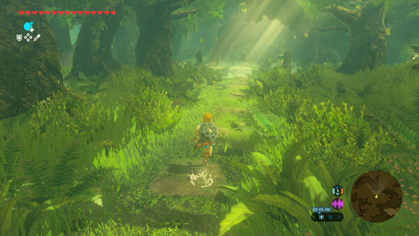 The Legend of Zelda Breath of the Wild Nintendo Switch 2 - Image 4